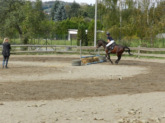 Babie Lato 2016